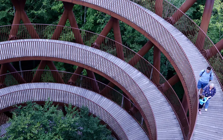 Spiral ramp of a treetop tower above the forest