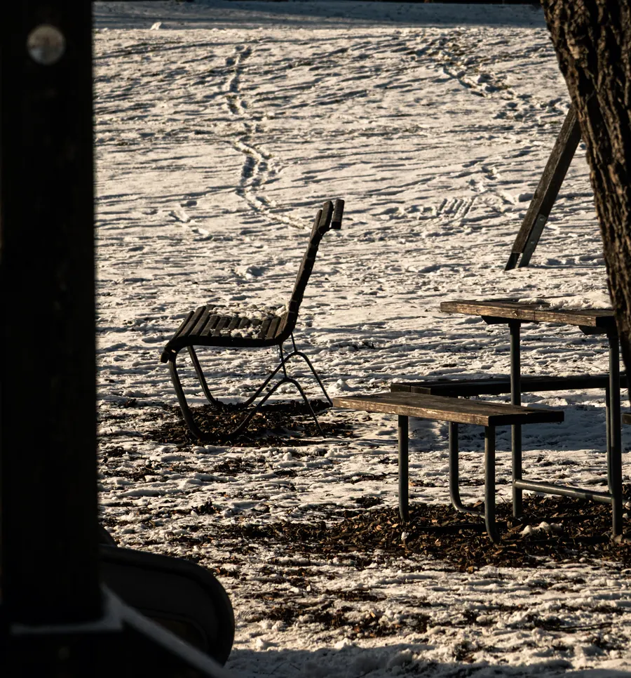 Bench and picnic table in low winter sun on snow