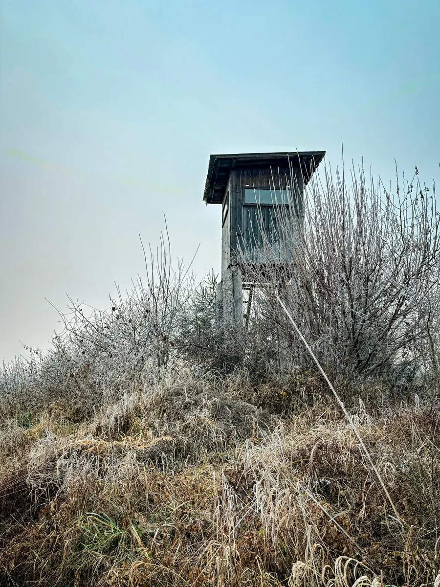 Hunting stand above frosted grass and shrubs