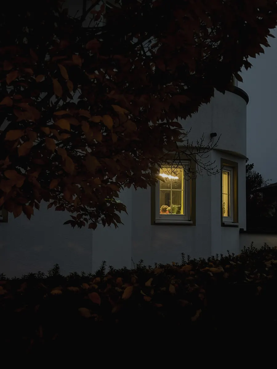 Lit window in a white house, half hidden behind dark autumn leaves